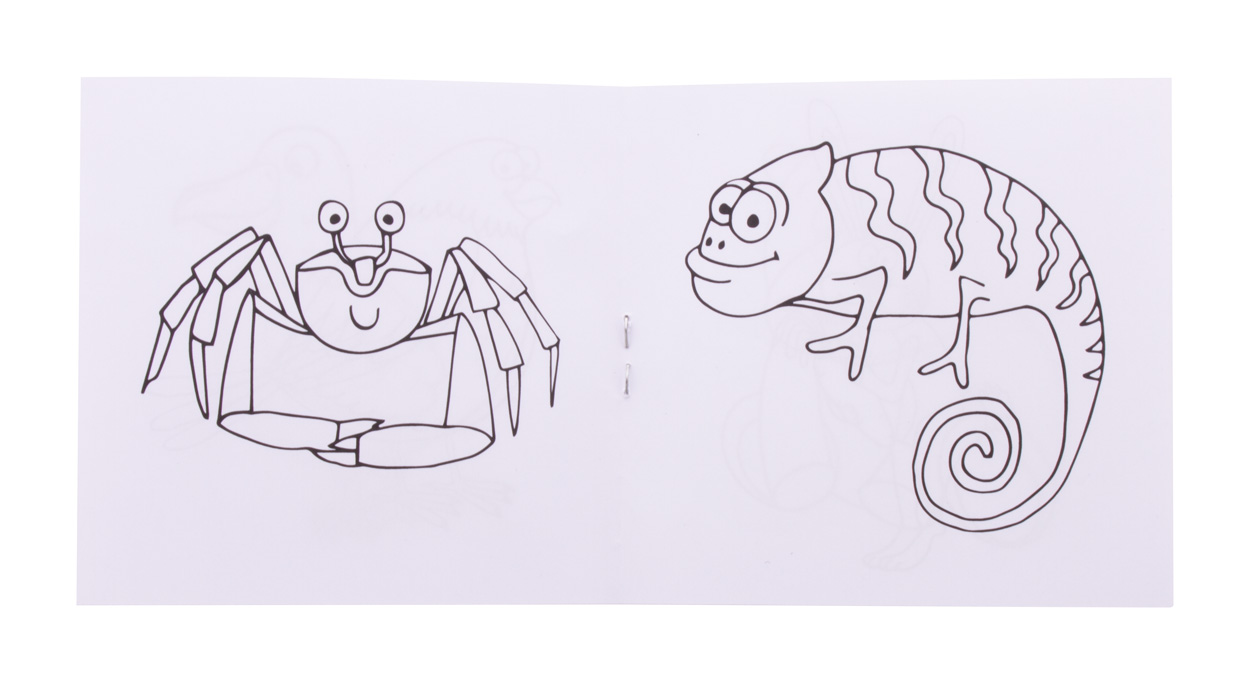 personalizowany zestaw do kolorowania / zwierzęta Coloxil 12