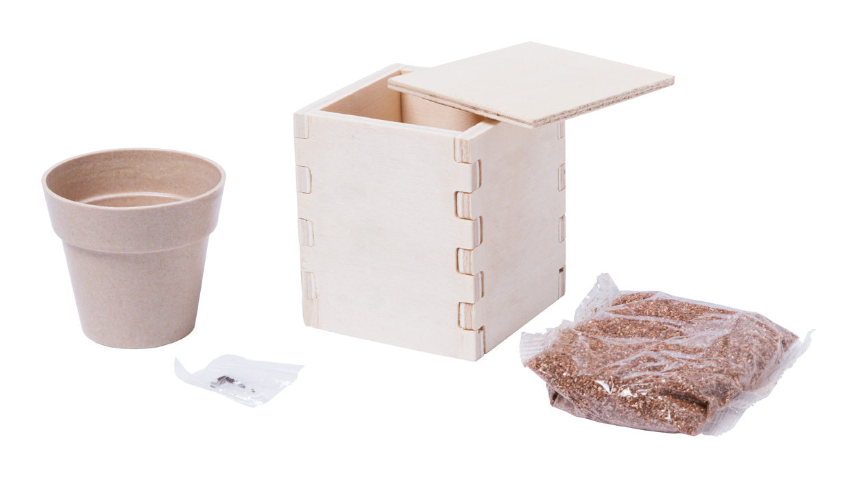 Zestaw do uprawy mięty Merin