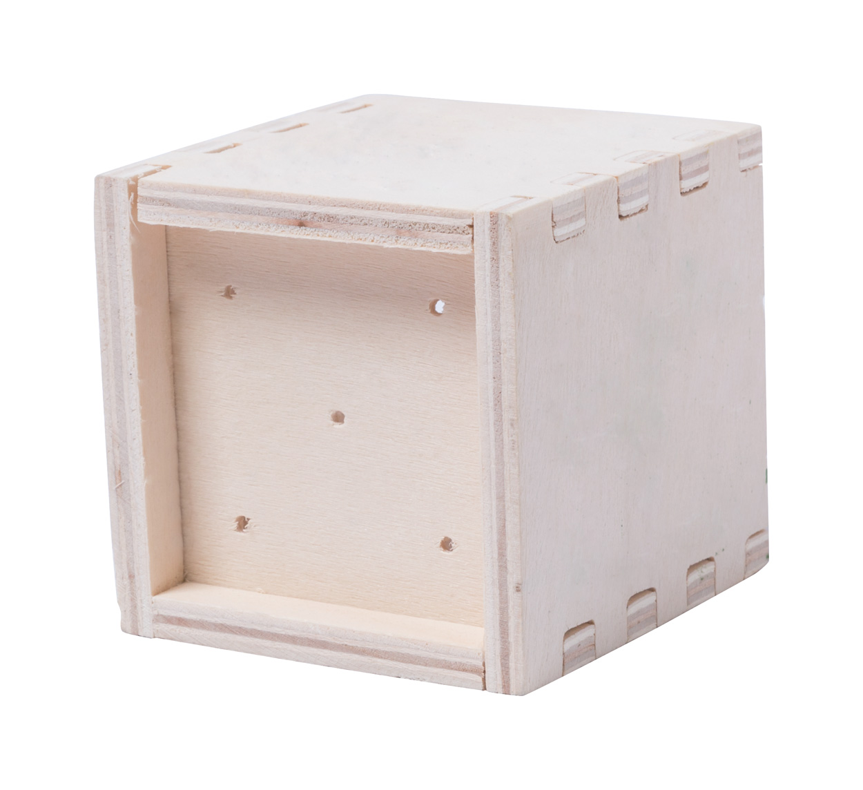 Zestaw do uprawy mięty Merin