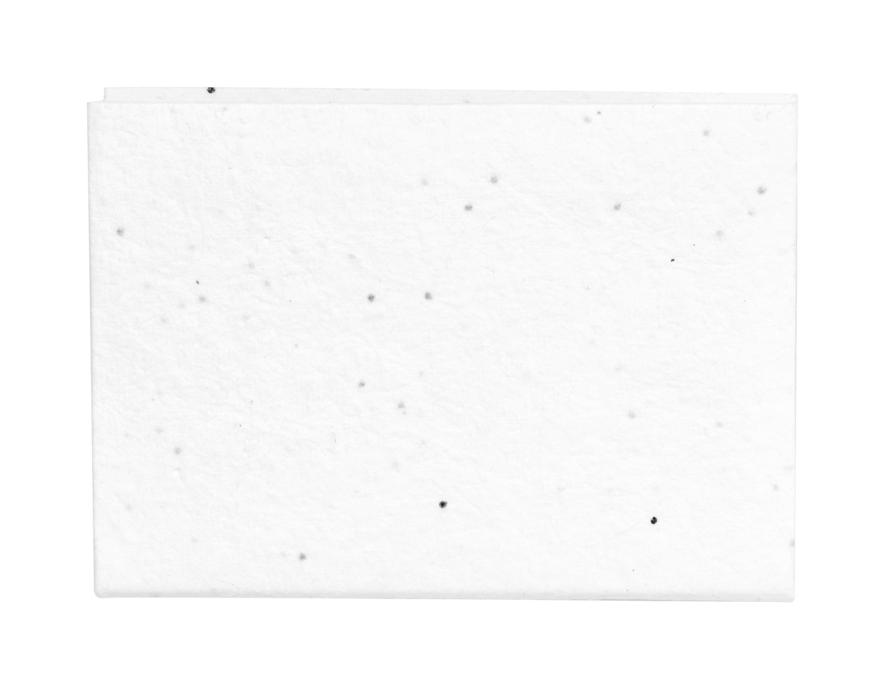 notatnik z karteczkami samoprzylepnymi z papieru nasiennego Albot