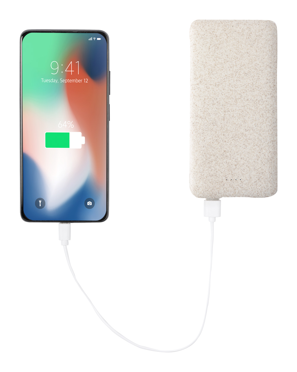 power bank Golblum