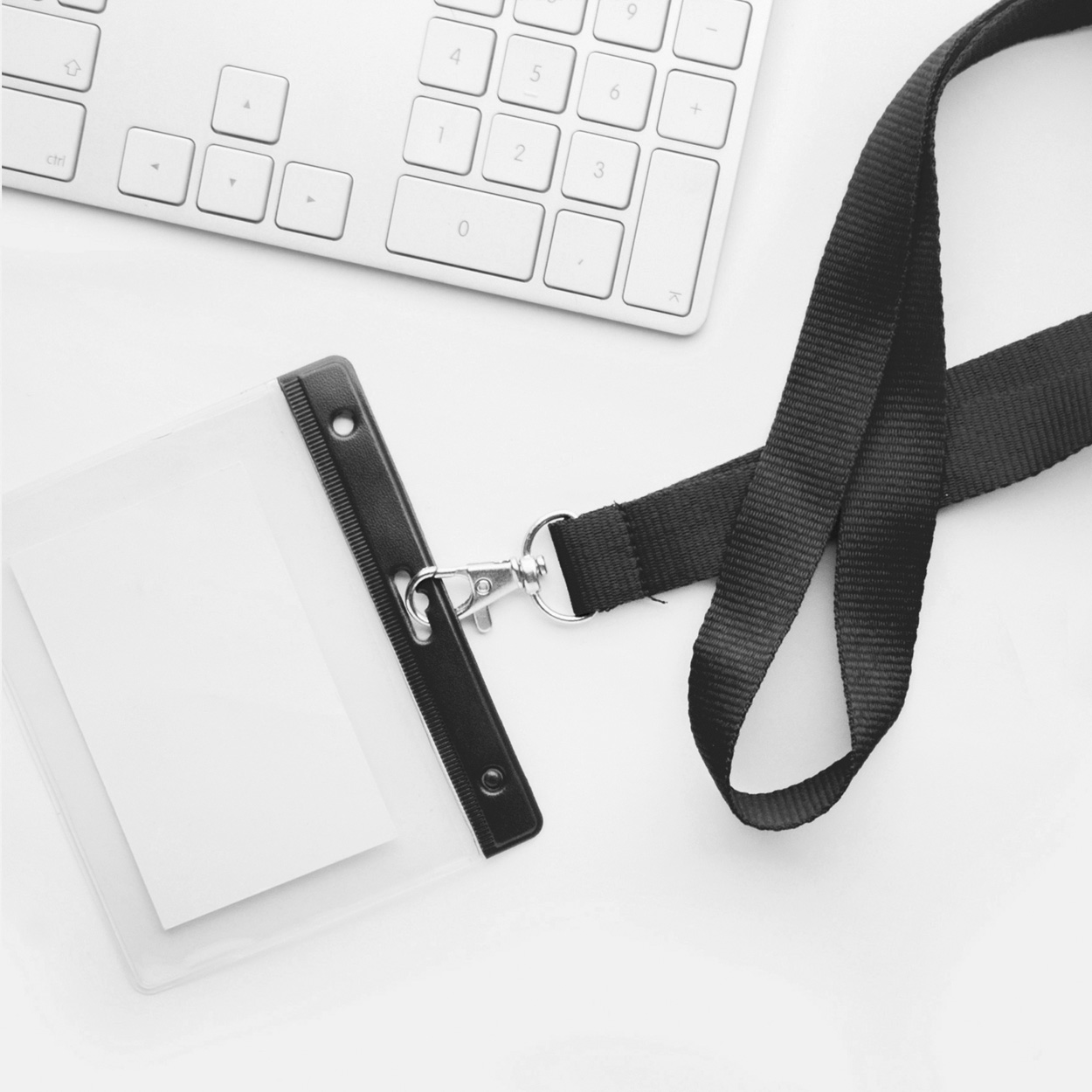 etui na przepustkę Alter