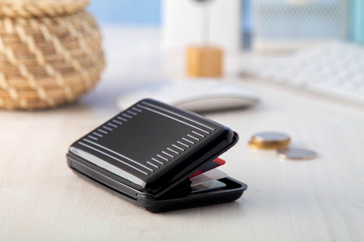 etui na karty Rainol