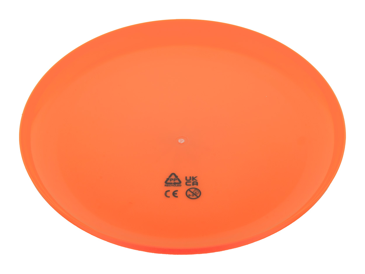 frisbee Reppy